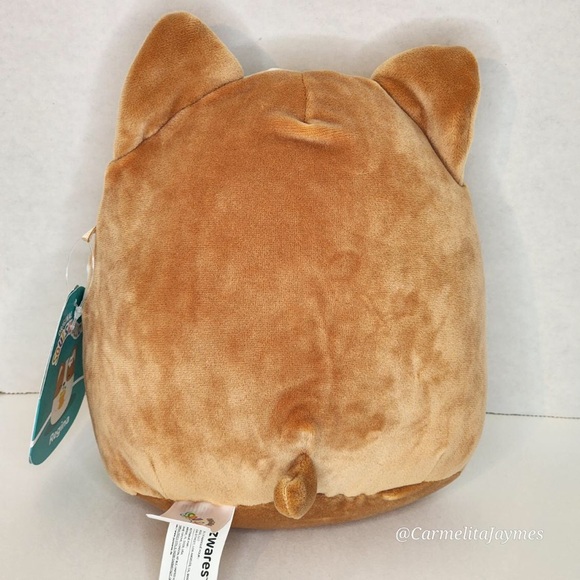 REGINA 🐶 Corgi Dog w Pina Colada Drink Original Squishmallow ☆》NWT《☆ - Picture 2 of 8